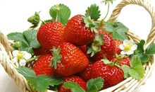 开心采草莓的句子 快乐采摘草莓的心情句子