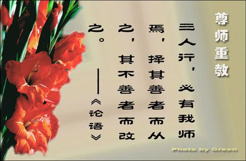 教师节行情