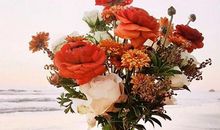 关于亲情美好的句子说说心情短语