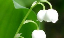 古诗里温暖亲情的句子