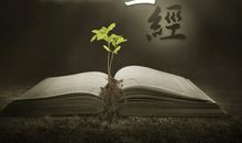 圣经里的经典句子