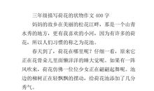 描写荷花的优美段落