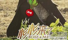 杉杉来吃经典语录