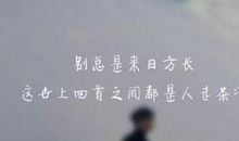 形容心痛到绝望的句子