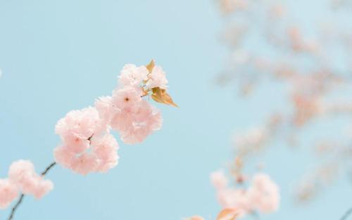 11.当我不小心碰到你的眼睛时，我只想掩盖紧张，所以我笑得很开心。