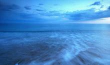 形容亲情珍贵的句子