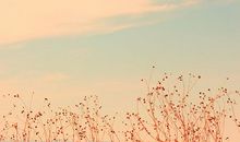 怀念过去的诗句