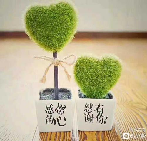 永远爱你
