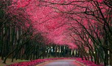 春节亲情重要的句子