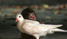 与温暖亲情的句子文