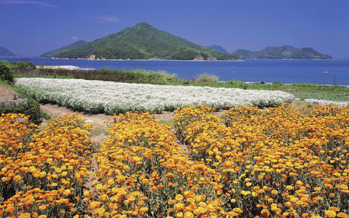 10.用黏土塑造你和我的身体，然后将它们粉碎并浇水，然后塑造你和我的身体。我有你的内心，我有你的内心。