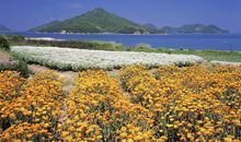 逗老情人开心的句子 逗女人开心的句子