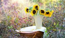 压抑不开心的句子说说心情