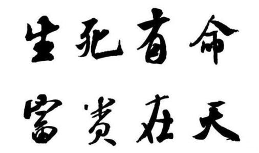 生死报价