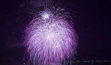 有关烟花的句子