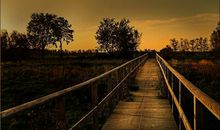 徐志摩唯美爱情诗句