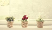 下课了开心的句子