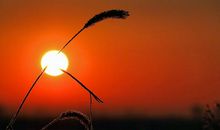 形容沧桑的句子