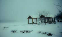 下雪的唯美句子