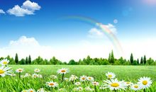 关于春天的优美句子