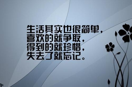 放手的句子