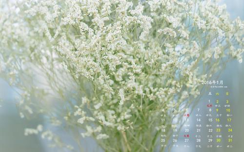 12.这是自暑假以来第一次亲近自然并与孩子一起体验农舍。早上，我与朋友见面，带着孩子们在吉安县横江镇采摘葡萄：阳光明媚，孩子们现场采摘葡萄充满乐趣。他们边玩边品尝和玩耍，并参观了当地的拱门和祖堂。让我们分享一张两串葡萄的照片。