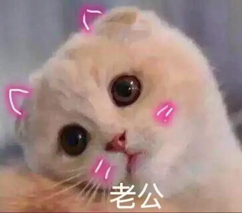 评论老公发红包的句子 1