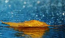 关于心烦睡不着的句子