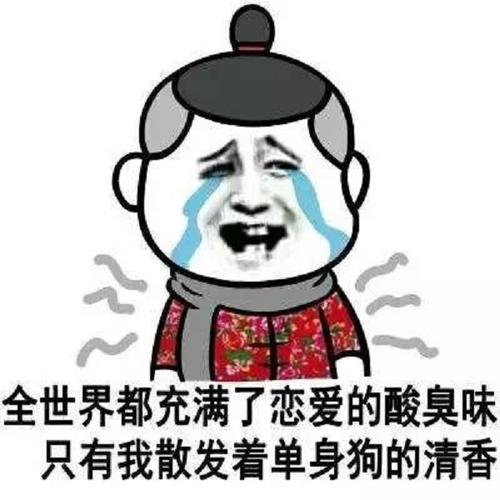 情人节单只狗行情