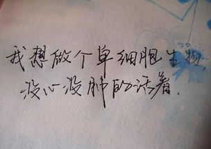 精选美学语录