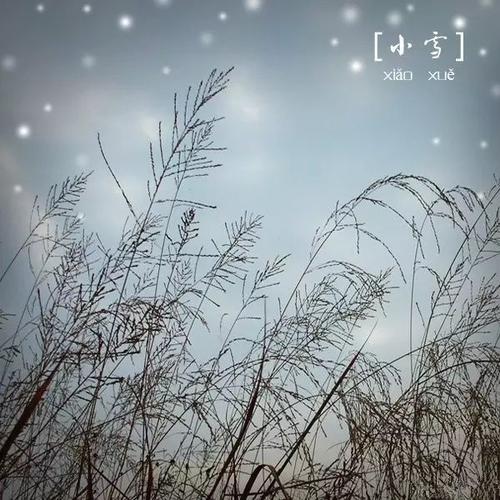 一句话下雪