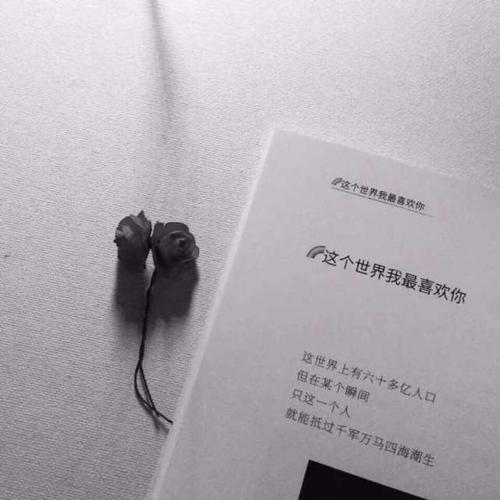 10.爱不过是孤独的人们拥抱彼此的谎言而已...