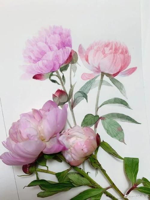 12.家庭的感情就像温和的阳光，使他温暖，但不热；给他带来光明，但不刺眼。