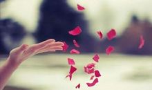 关于放下的句子