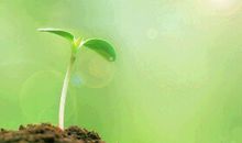 赞美生命的正能量句子