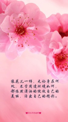 美丽的句子温暖着我的心
