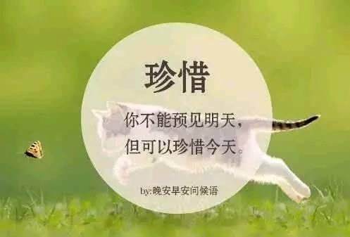 强有力的句子
