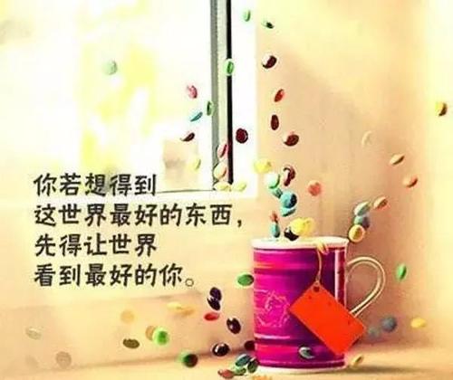 春天的心情报价