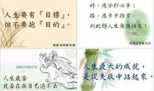 关于发现美的名言