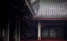 对爱情失望的句子诗句 2