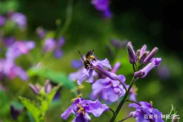 12.实际上，在人与人之间，无论是家庭感情还是友爱还是爱情，哪种亲密友情都不基于我在这里而你在这里的前提？所有的爱都不是“在一起”，这是命运吗？那棵树在那里。山在这里。地球在这里。岁月在这里。我在这。您想要哪个更好的世界？