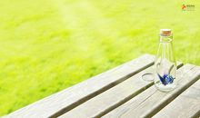 开心向往生活的句子 美好向往语录