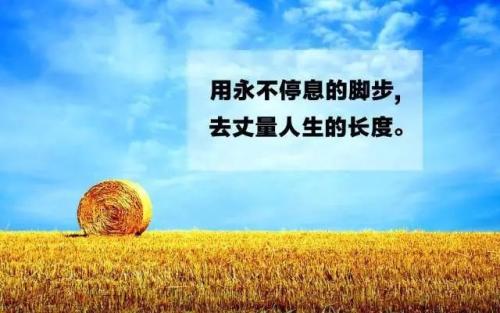 奋斗的报价