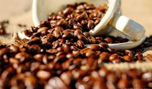 咖啡的优美句子