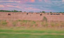 工作心态正能量句子大全 积极工作的励志语录