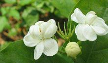 追求美丽的座右铭