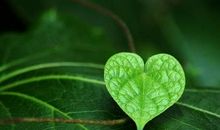 亲情就在我身边句子