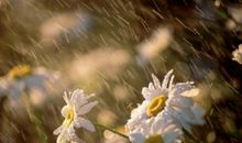 成长是一种经历,成熟是一种阅历