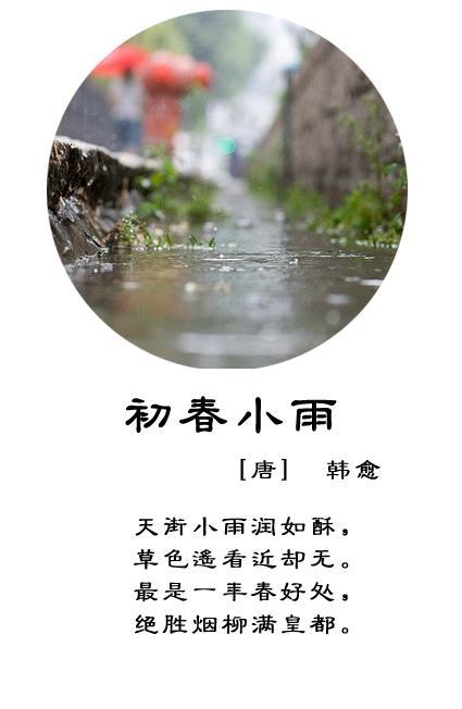 春雨