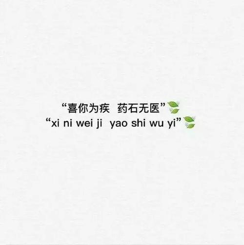 谈论有趣的朋友圈